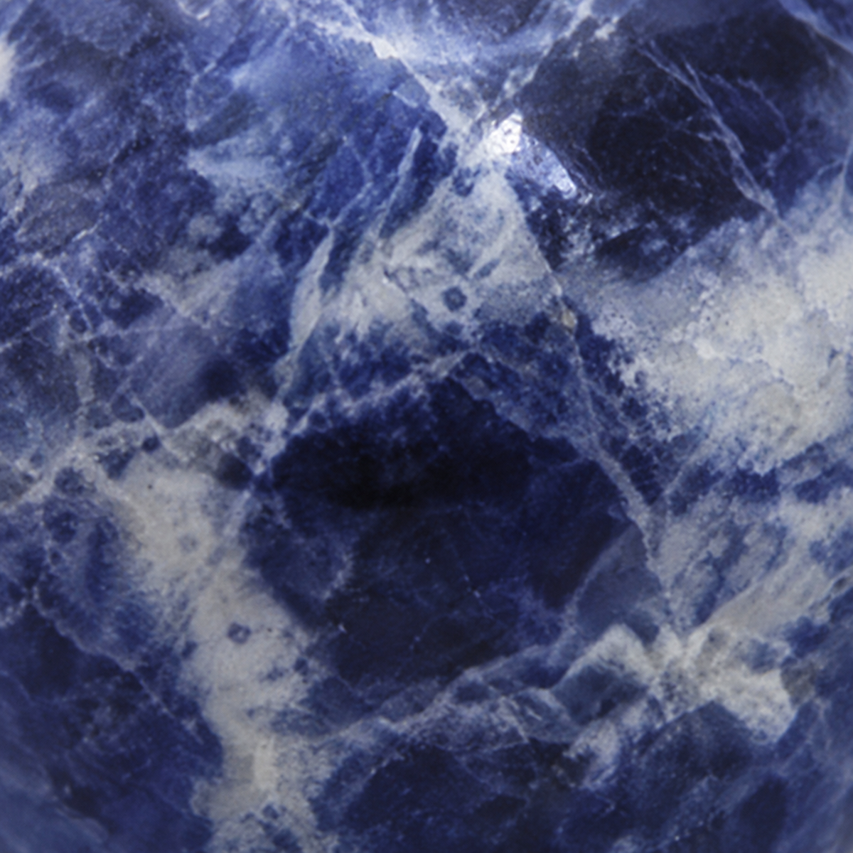 Gros plan de la surface polie de la sodalite, veines blanches dans le bleu