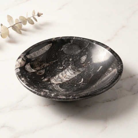 Bol Orthocéras — Photo produit