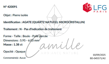 Certificat LFG Paris