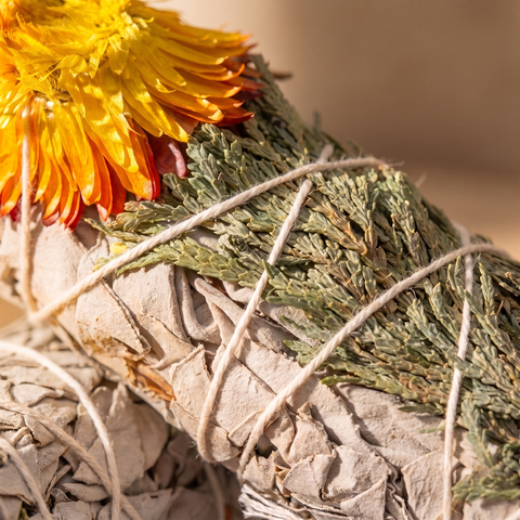 Macro des feuilles de sauge, du cèdre vert et de la ficelle maintenant le bâton