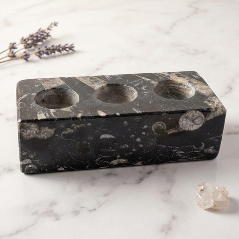 Bougeoir Orthoceras — Photo produit