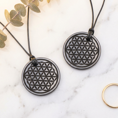 Pendentif Shungite — Photo produit